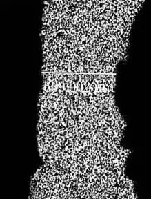 ͼƬҪ